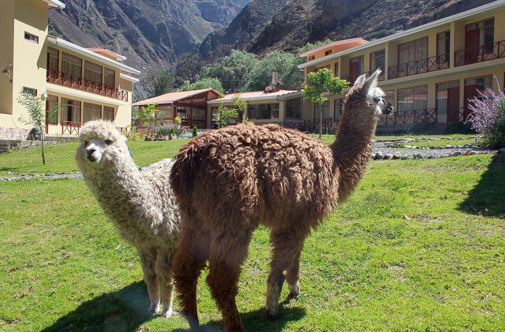 Fundo Hotel Ayarpongo チュリン エクステリア 写真